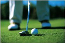 Play golf at many area golf courses
